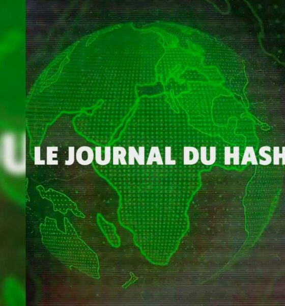 Diario di Hash Episodio 2
