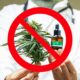 Stop alla cannabis terapeutica in Francia