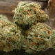 Ghost OG