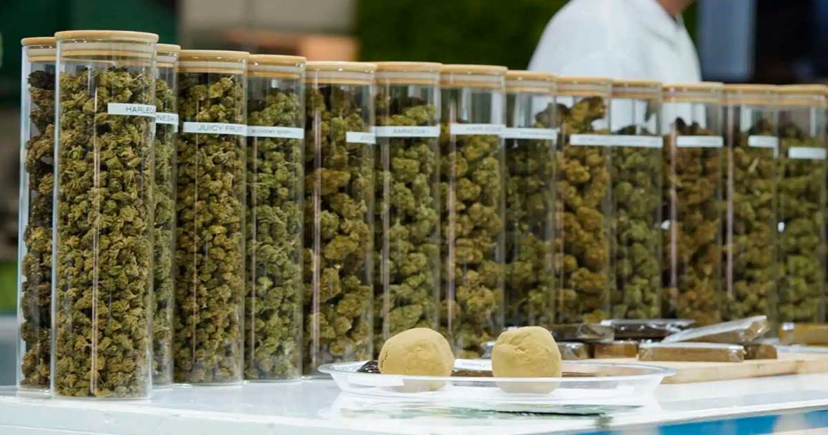 Prodotti a base di THC nella Repubblica Ceca