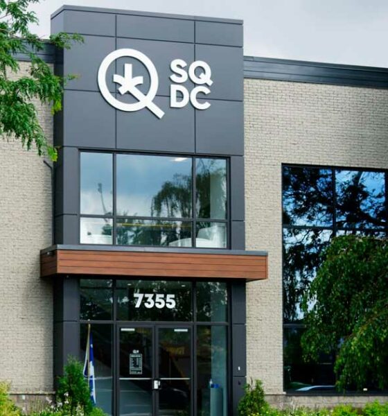 Risultati SQDC 2024