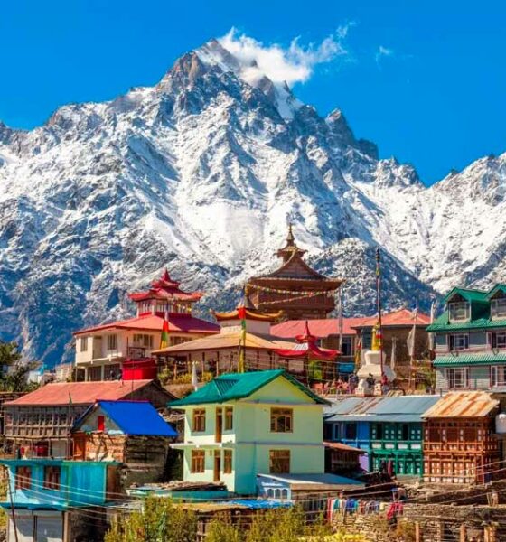 Canapa in Himachal Pradesh