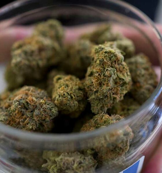 L'Oregon produce troppa cannabis