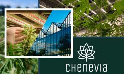 Chenevia