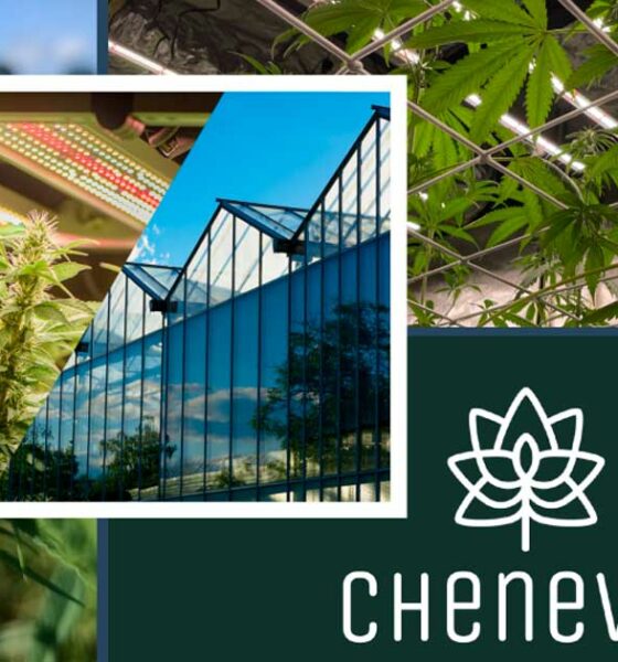 Chenevia