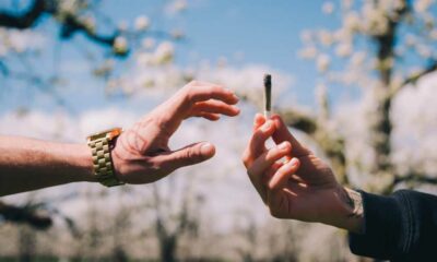 Il consumo di cannabis da parte dei giovani nella Columbia Britannica