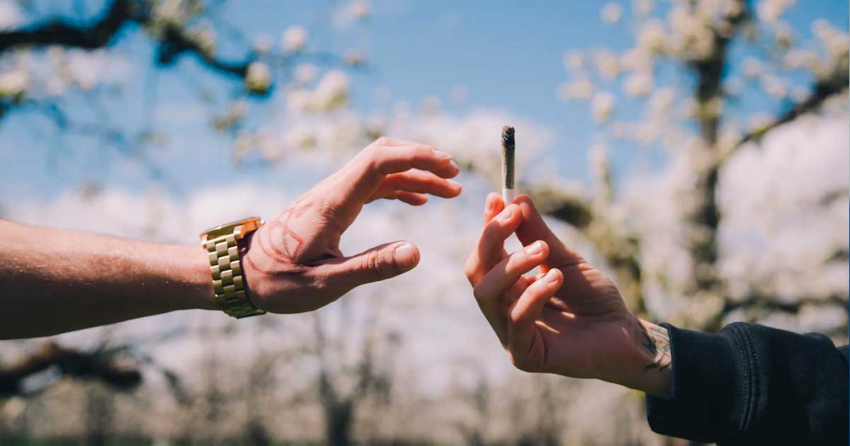 Il consumo di cannabis da parte dei giovani nella Columbia Britannica