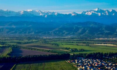 Coltivazione della canapa in Kazakistan