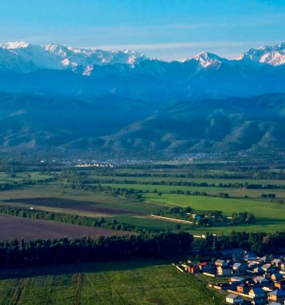 Coltivazione della canapa in Kazakistan