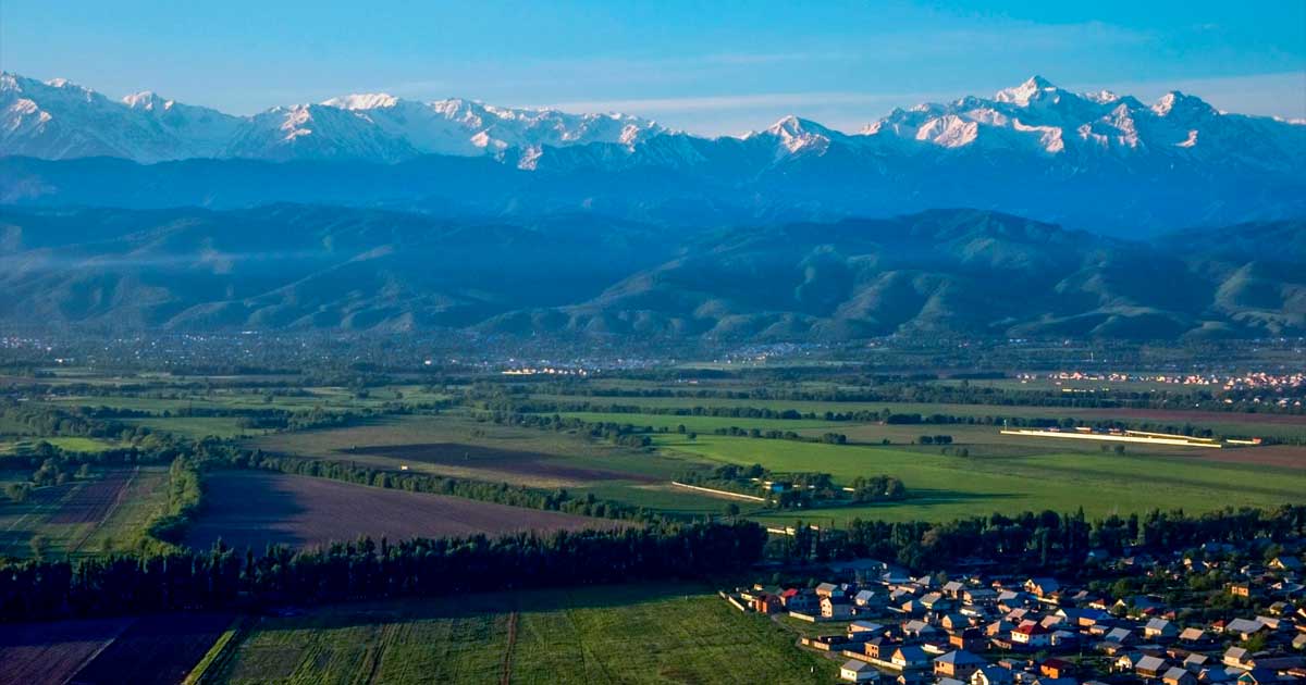 Coltivazione della canapa in Kazakistan