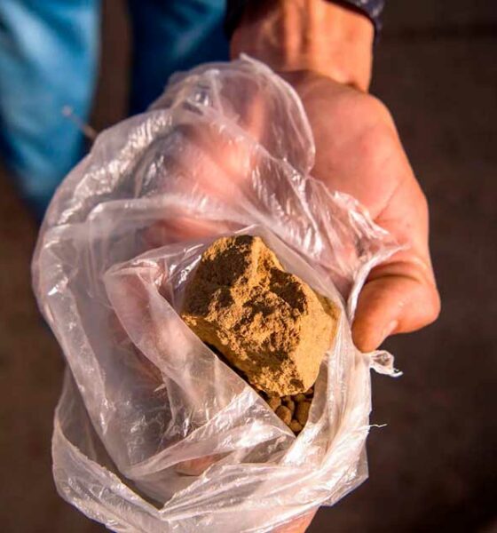 Hash marocchino nei Paesi Bassi