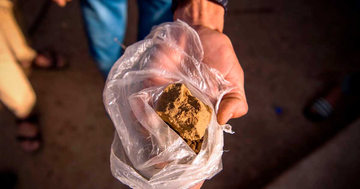 Hash marocchino nei Paesi Bassi