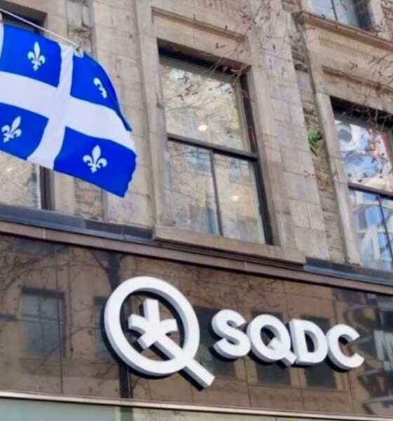 Tendenze della cannabis in Quebec