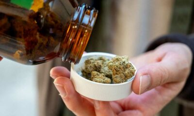 Importare cannabis terapeutica in Germania