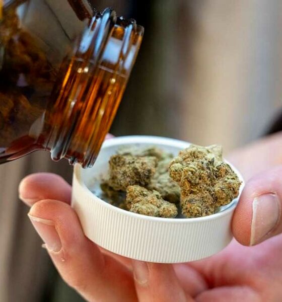 Importare cannabis terapeutica in Germania