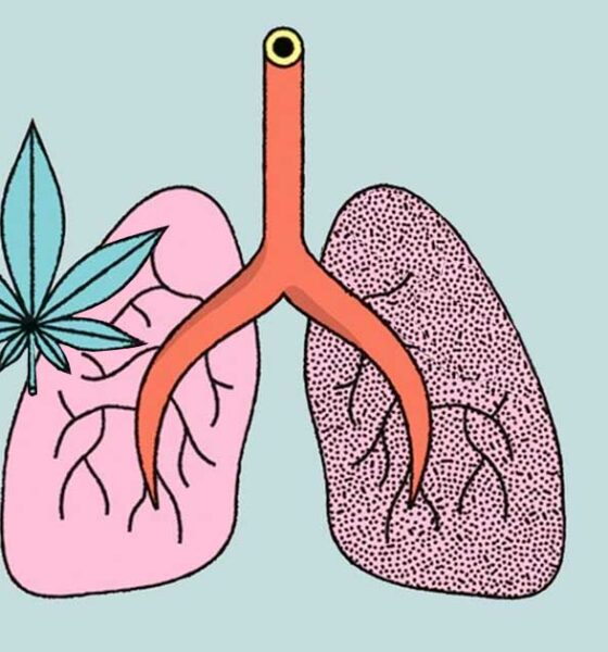Studio sull'effetto della cannabis e del tabacco sui polmoni