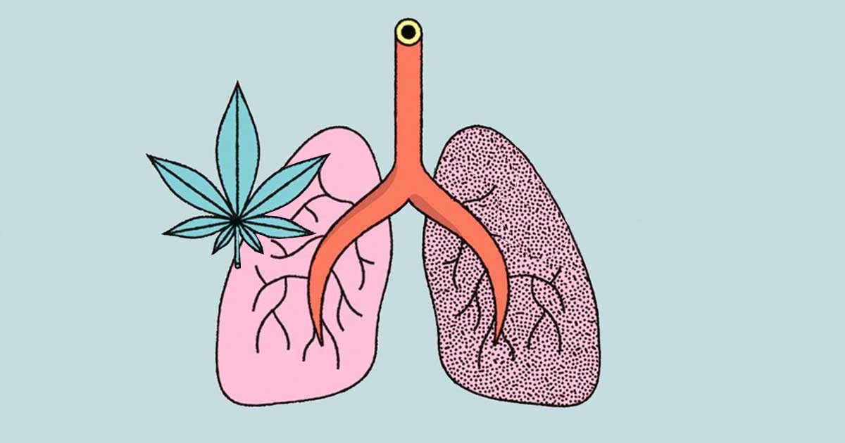 Studio sull'effetto della cannabis e del tabacco sui polmoni