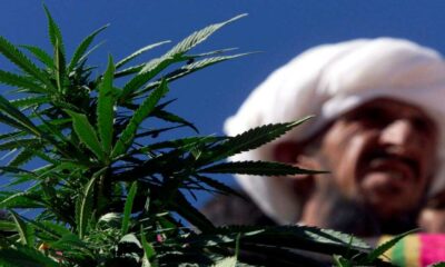 Canapa e cannabis terapeutica in Pakistan