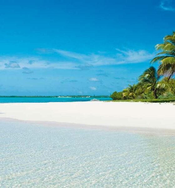Isole Cayman e depenalizzazione della cannabis