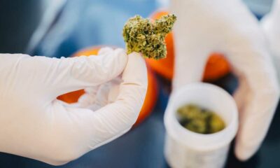 Cannabis in farmacia in Germania