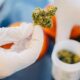 Cannabis in farmacia in Germania