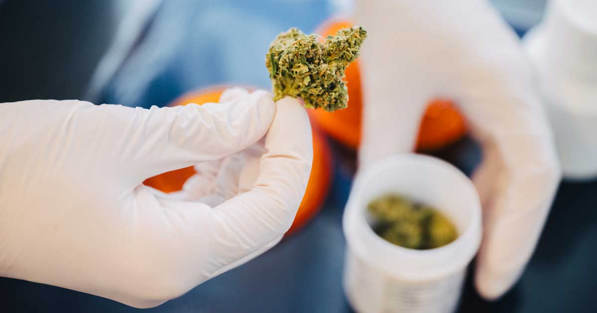 Cannabis in farmacia in Germania