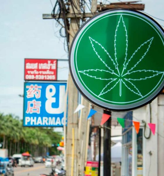 Regolamentazione medica della cannabis in Thailandia