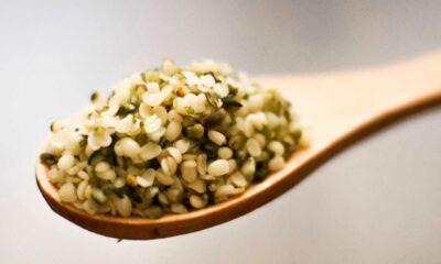 Allergia ai semi di canapa