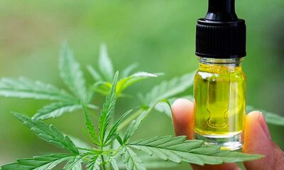 Il Belgio rimborsa il CBD per l'epilessia
