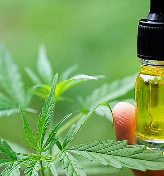 Il Belgio rimborsa il CBD per l'epilessia