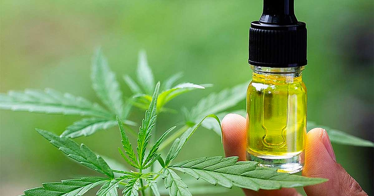 Il Belgio rimborsa il CBD per l'epilessia