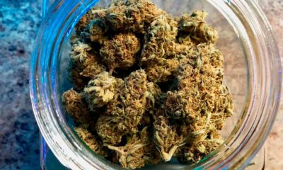 Diritto alla cannabis per i prigionieri tedeschi