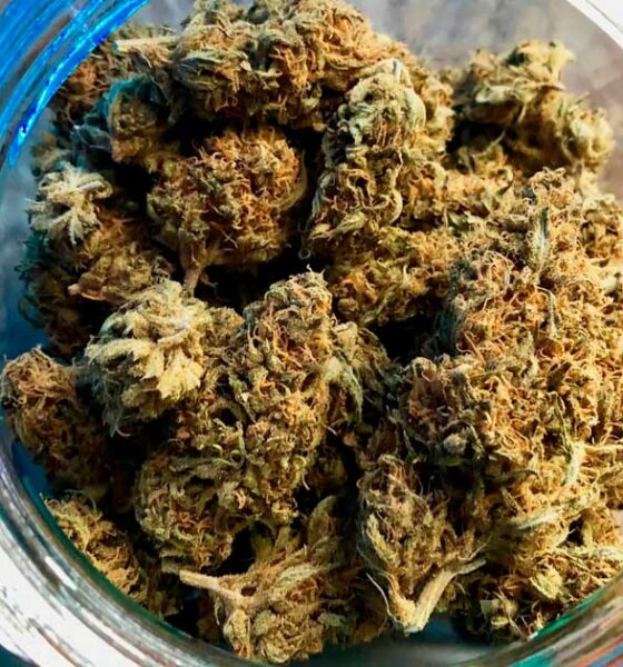 Diritto alla cannabis per i prigionieri tedeschi