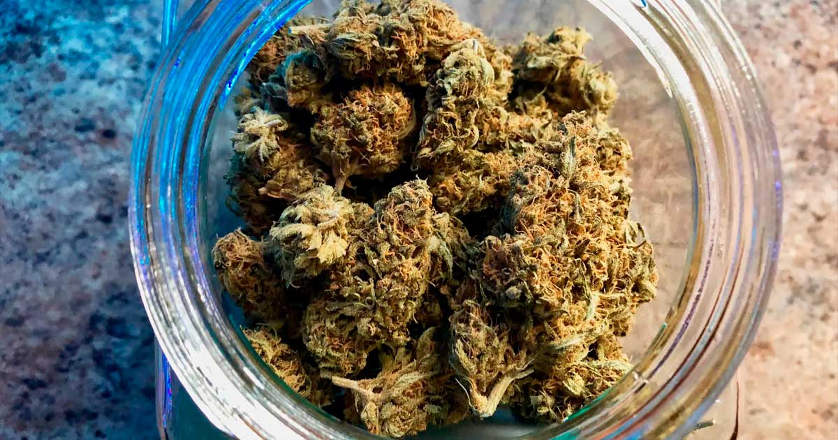 Diritto alla cannabis per i prigionieri tedeschi