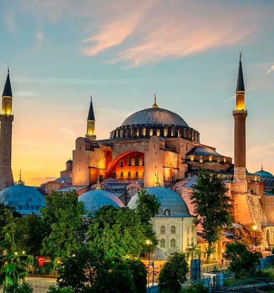 Cannabis medica in Turchia
