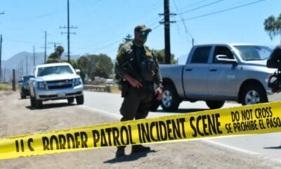 Raid in una piantagione di cannabis in California