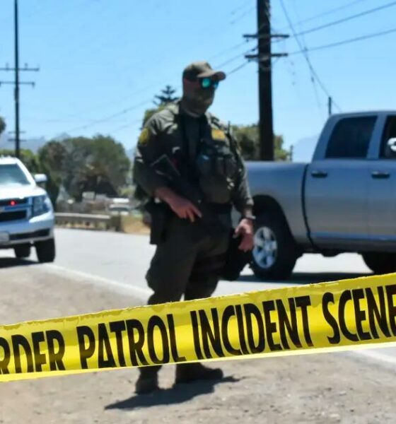 Raid in una piantagione di cannabis in California