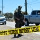 Raid in una piantagione di cannabis in California