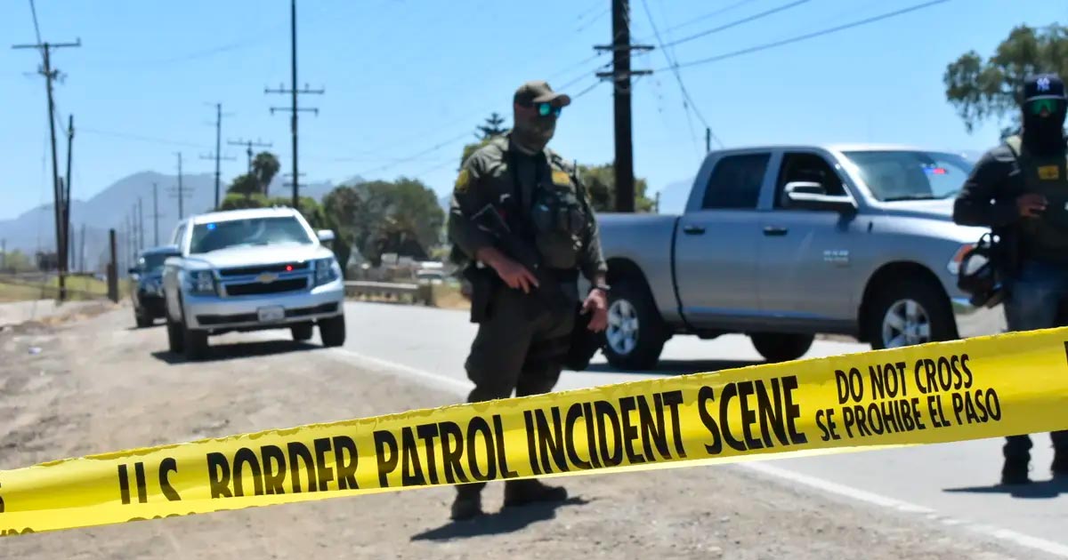 Raid in una piantagione di cannabis in California