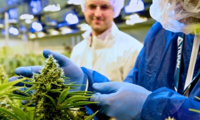Tilray fornisce cannabis medica all'Italia