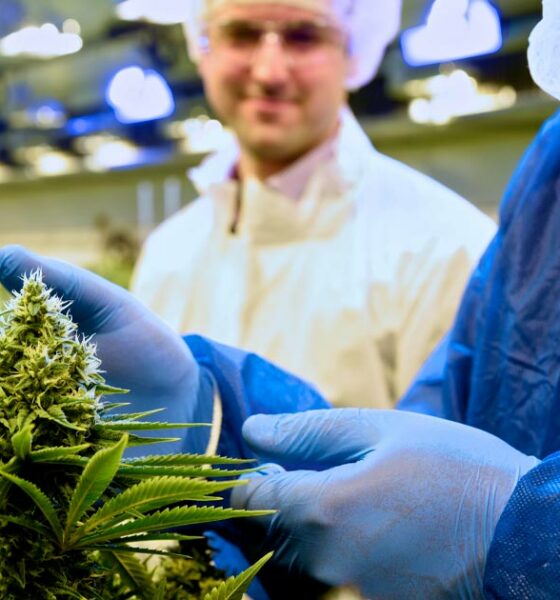 Tilray fornisce cannabis medica all'Italia