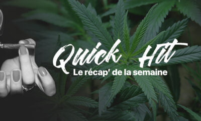 Notizie rapide sulla cannabis