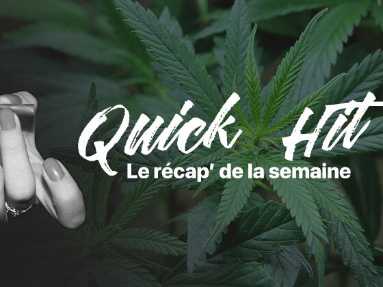 Notizie rapide sulla cannabis
