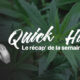 Notizie rapide sulla cannabis
