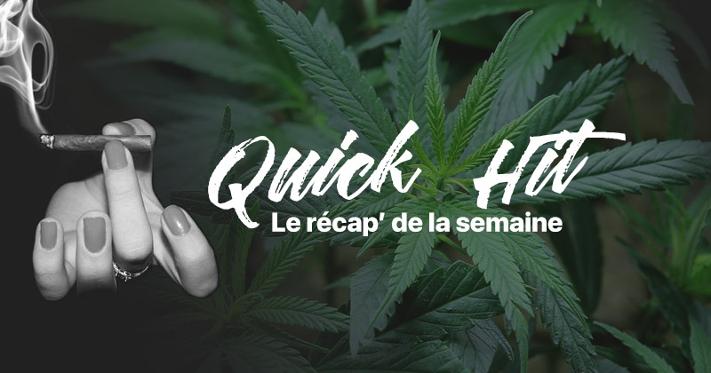 Notizie rapide sulla cannabis