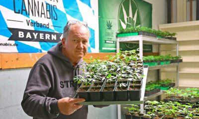 Blocco dei Cannabis Club in Baviera