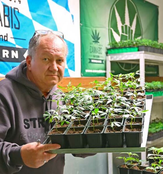 Blocco dei Cannabis Club in Baviera