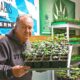Blocco dei Cannabis Club in Baviera