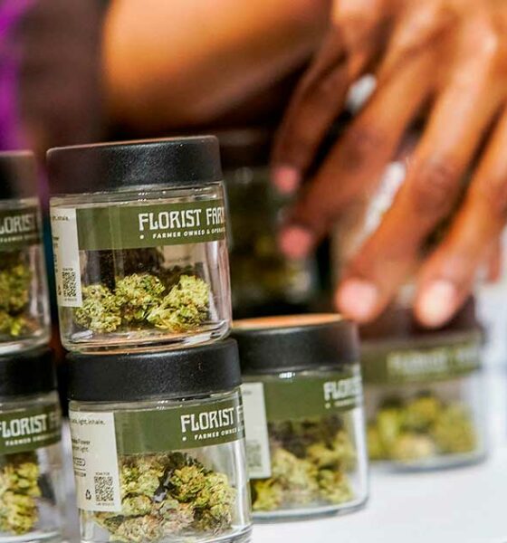 Vendite di cannabis a New York nel 2025