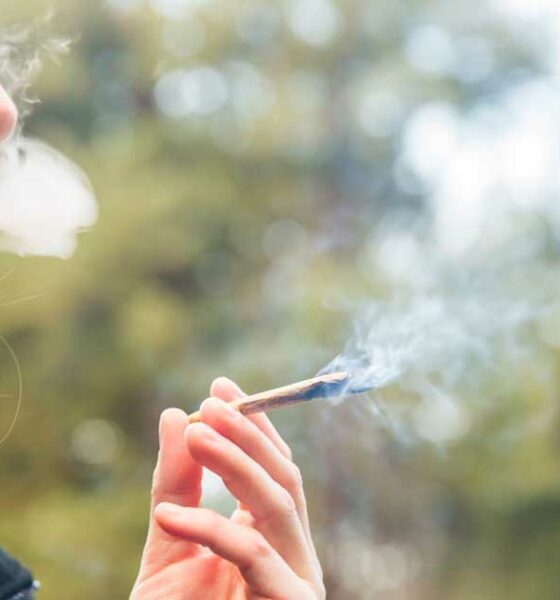 Donne, cannabis e fertilità